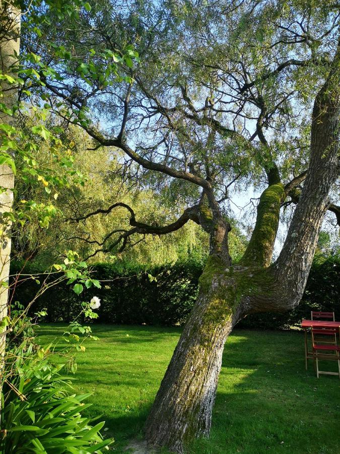 Le Domaine De Coat Rogan, La Chambre Du Jaudy Pommerit-Jaudy 외부 사진